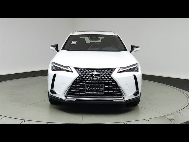 2025 Lexus UX UX 300h Premium