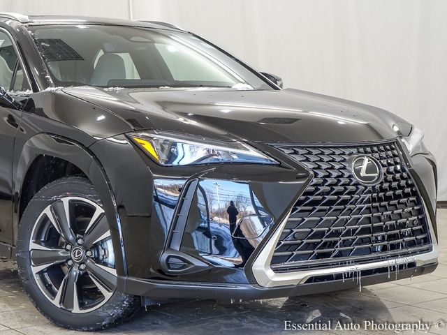 2025 Lexus UX UX 300h Premium