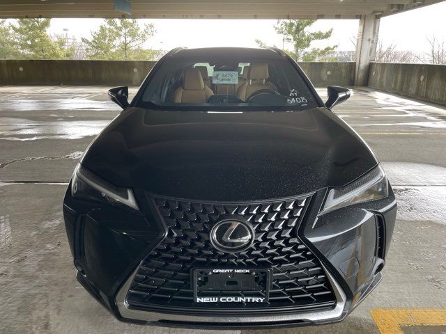 2025 Lexus UX UX 300h Premium