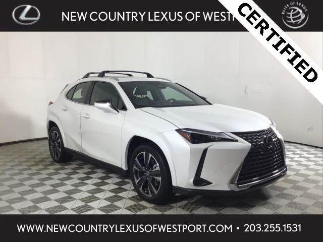 2025 Lexus UX UX 300h Premium