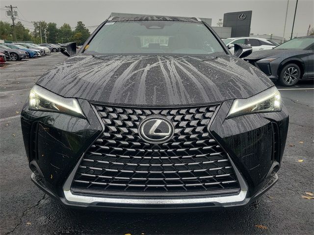 2025 Lexus UX UX 300h Premium