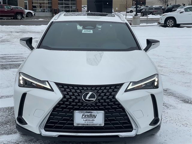 2025 Lexus UX UX 300h Premium