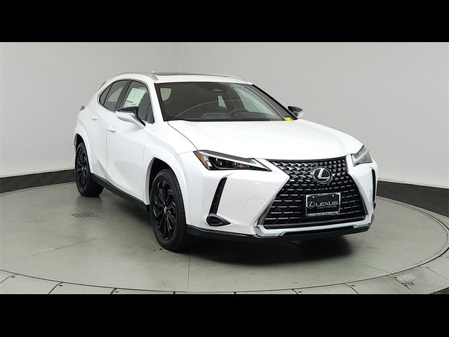 2025 Lexus UX UX 300h Premium