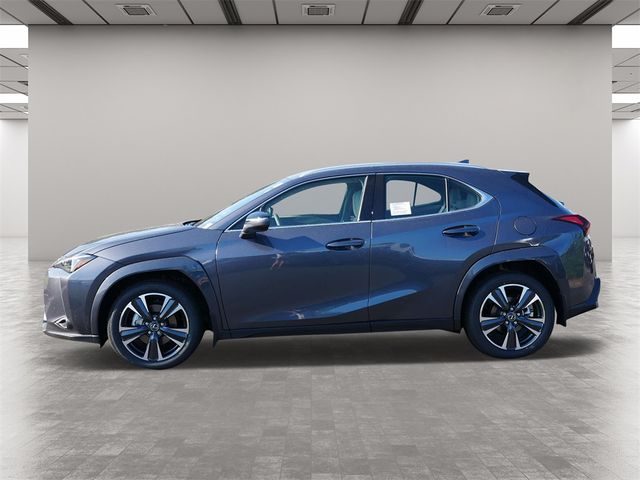 2025 Lexus UX UX 300h Premium