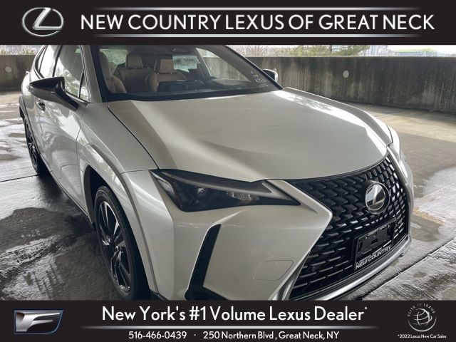 2025 Lexus UX UX 300h Premium