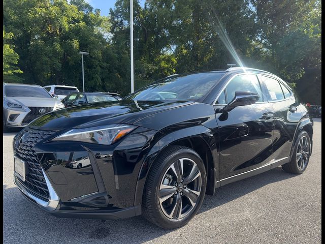 2025 Lexus UX UX 300h Premium