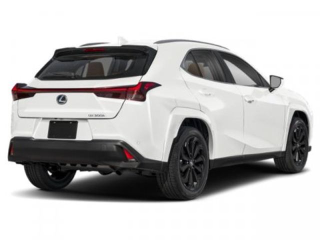 2025 Lexus UX UX 300h Premium