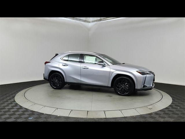 2025 Lexus UX UX 300h Premium