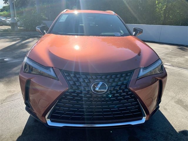 2025 Lexus UX UX 300h Premium