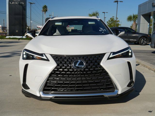 2025 Lexus UX UX 300h Premium