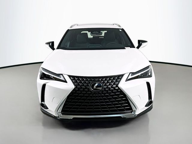 2025 Lexus UX UX 300h Premium