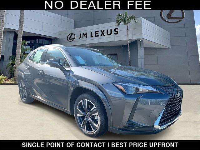 2025 Lexus UX UX 300h Premium