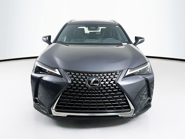 2025 Lexus UX UX 300h Premium