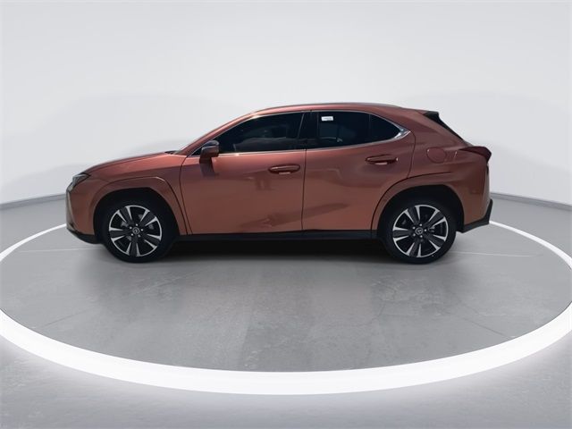 2025 Lexus UX UX 300h Premium