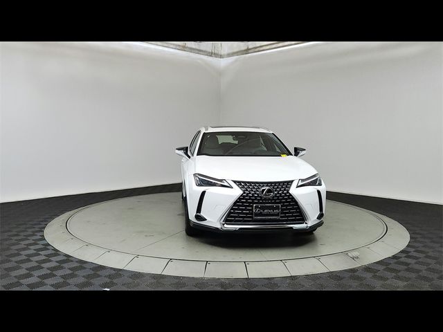 2025 Lexus UX UX 300h Premium