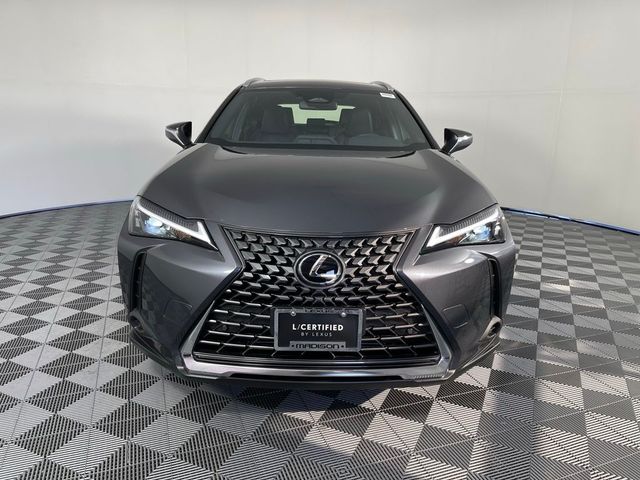 2025 Lexus UX UX 300h Premium