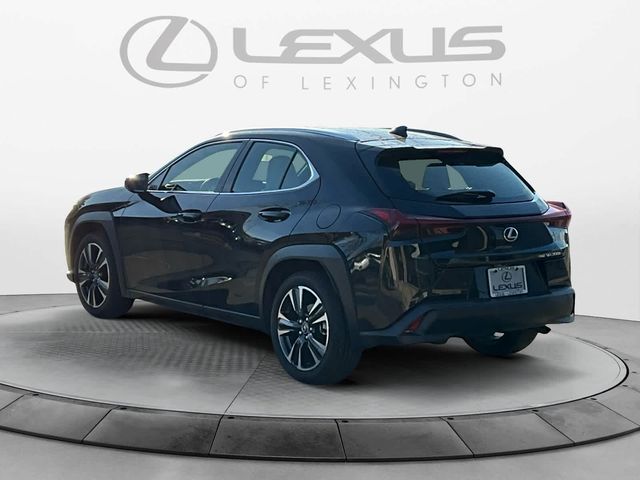 2025 Lexus UX UX 300h