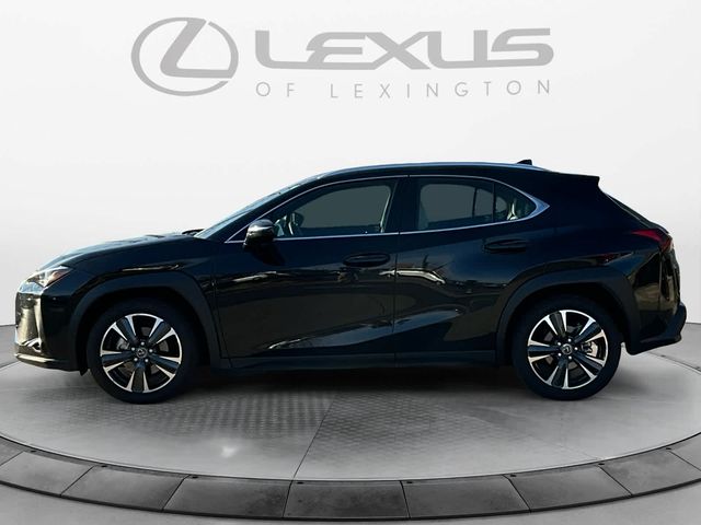 2025 Lexus UX UX 300h