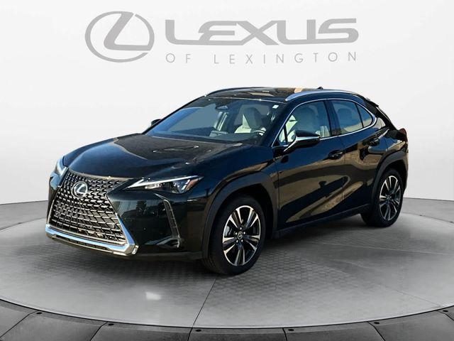 2025 Lexus UX UX 300h