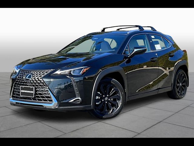 2025 Lexus UX UX 300h