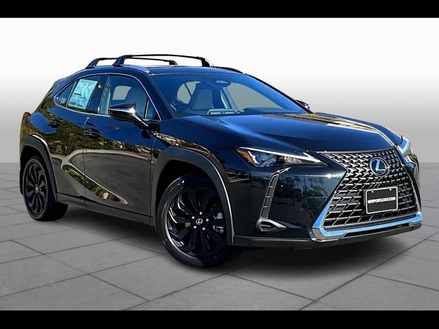 2025 Lexus UX UX 300h