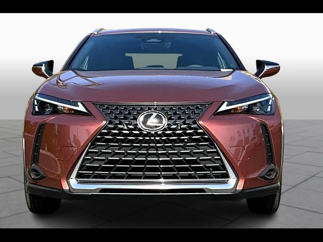 2025 Lexus UX UX 300h