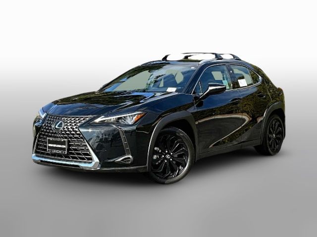 2025 Lexus UX UX 300h