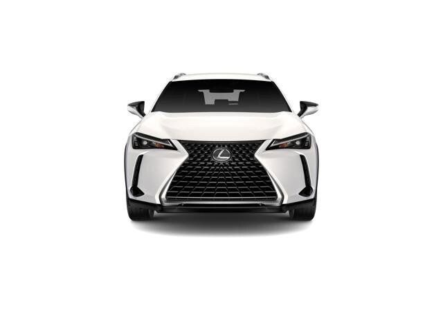 2025 Lexus UX UX 300h