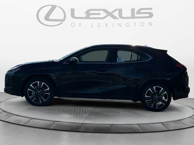 2025 Lexus UX UX 300h Premium