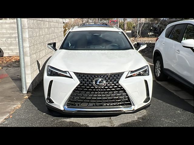 2025 Lexus UX UX 300h Premium