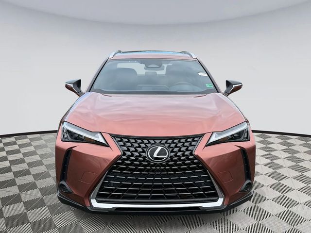 2025 Lexus UX UX 300h Premium