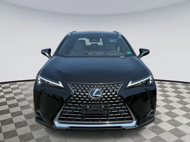 2025 Lexus UX UX 300h Premium