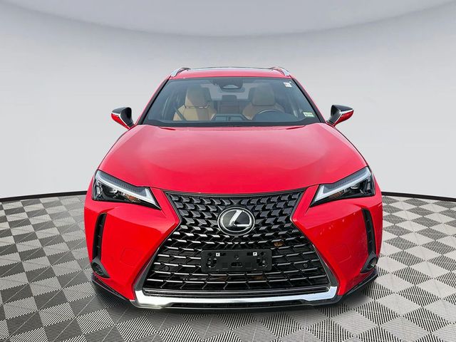 2025 Lexus UX UX 300h Premium