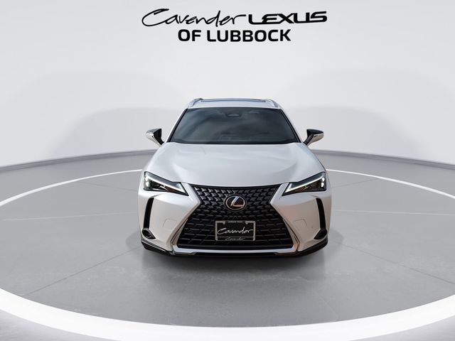 2025 Lexus UX UX 300h Premium