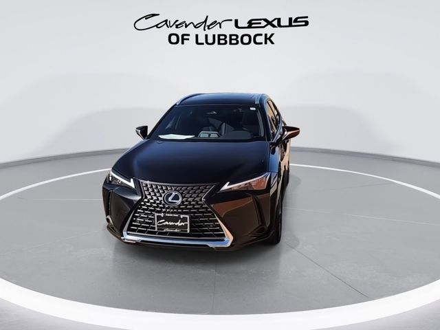 2025 Lexus UX UX 300h Premium