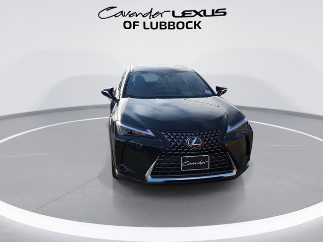 2025 Lexus UX UX 300h Premium