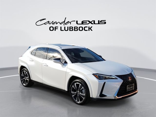 2025 Lexus UX UX 300h Premium