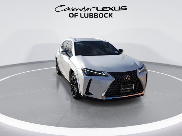 2025 Lexus UX UX 300h Premium