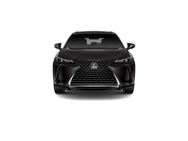 2025 Lexus UX UX 300h Premium