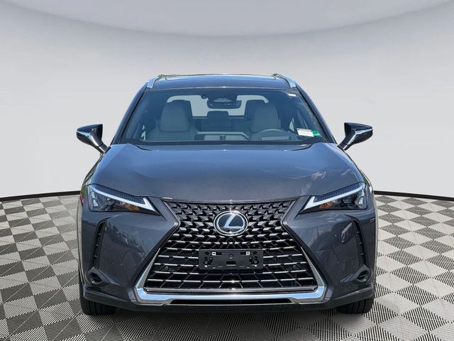 2025 Lexus UX UX 300h Premium