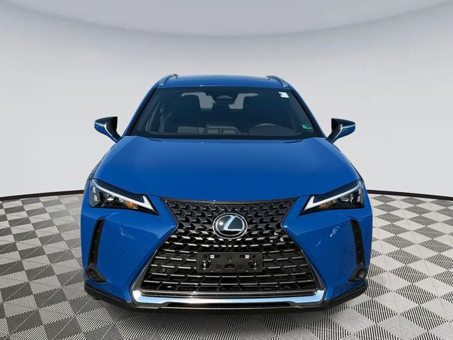 2025 Lexus UX UX 300h Premium