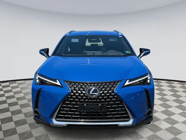 2025 Lexus UX UX 300h Premium