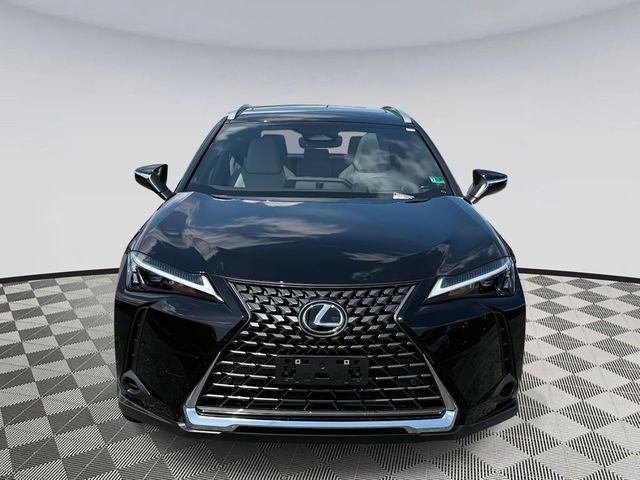 2025 Lexus UX UX 300h Premium