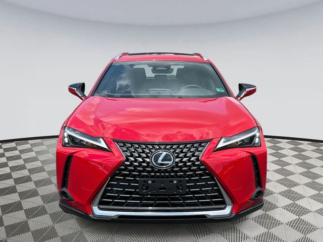 2025 Lexus UX UX 300h Premium