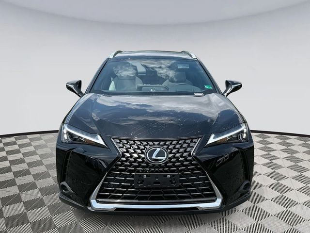 2025 Lexus UX UX 300h Premium