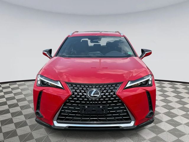 2025 Lexus UX UX 300h Premium