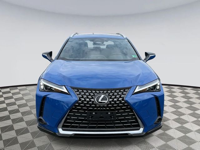 2025 Lexus UX UX 300h Premium