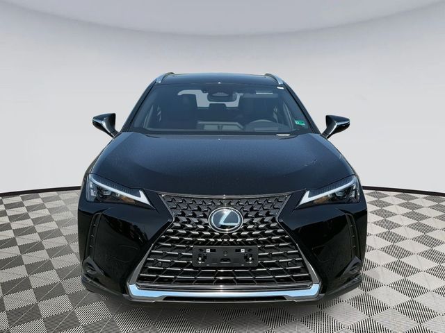 2025 Lexus UX UX 300h Premium