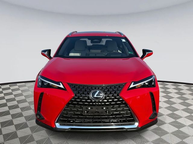 2025 Lexus UX UX 300h Premium