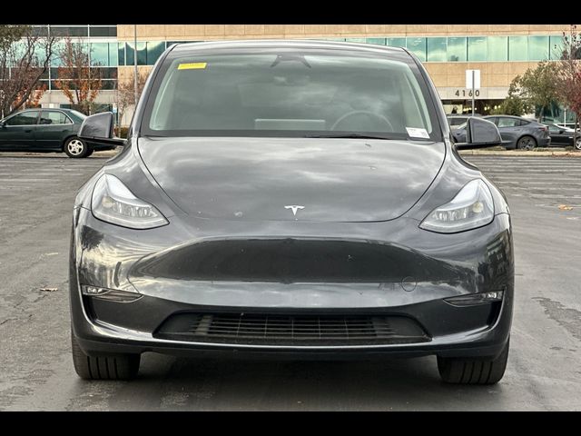 2025 Tesla Model Y Long Range